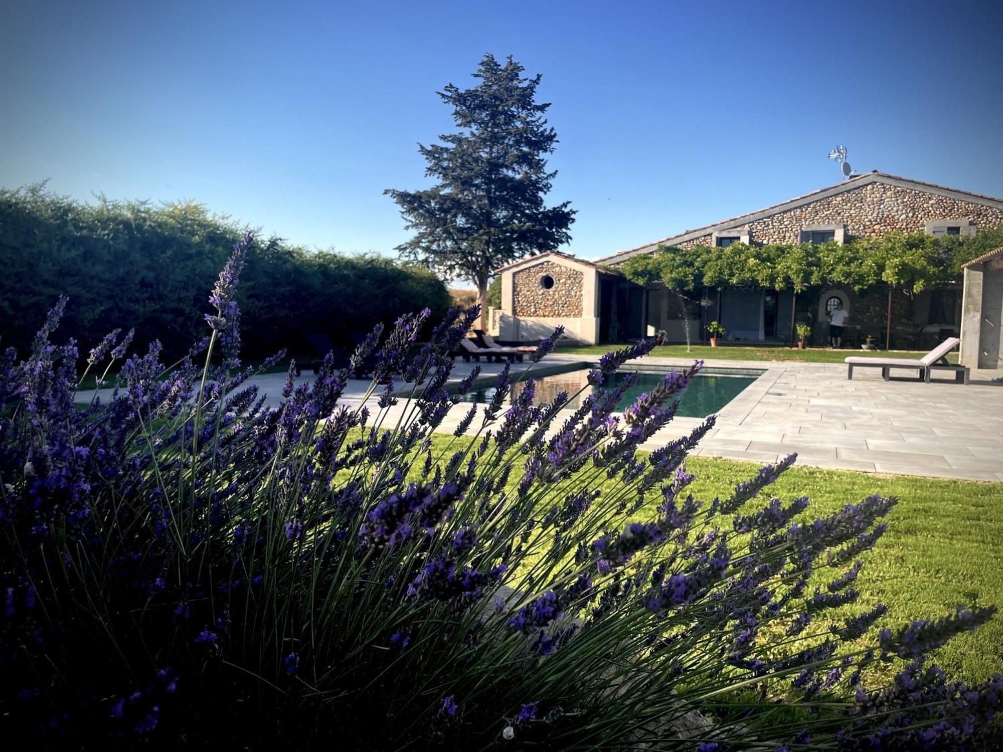 Les Mazets Du Pas Hotel Greoux-les-Bains Exterior photo